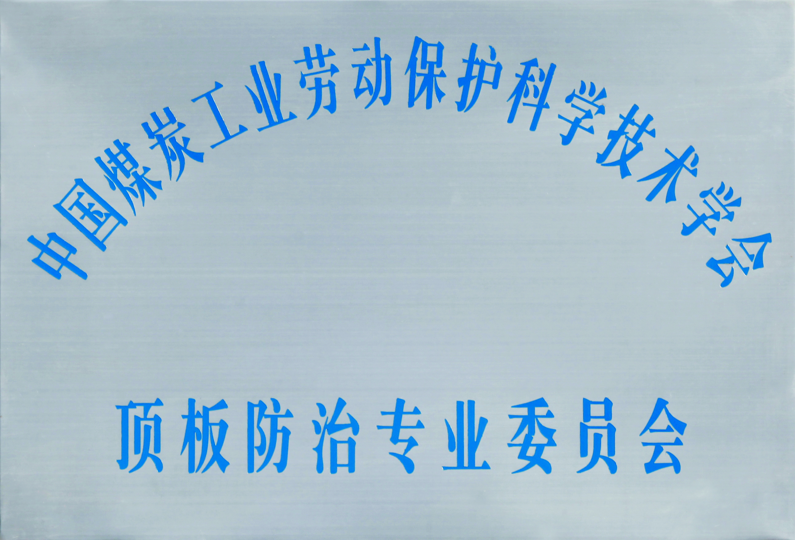 顶板防治专业委员会